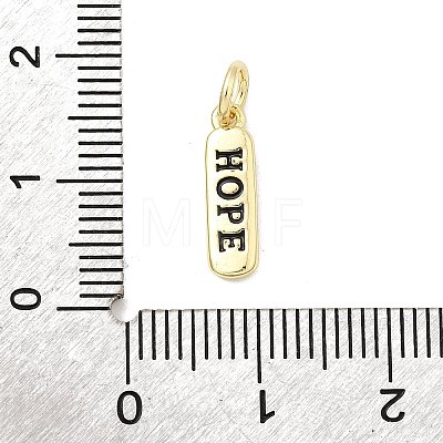 Brass Enamel Charms KK-P338-01G-E01-1