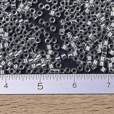 MIYUKI Delica Beads X-SEED-J020-DB0041-1