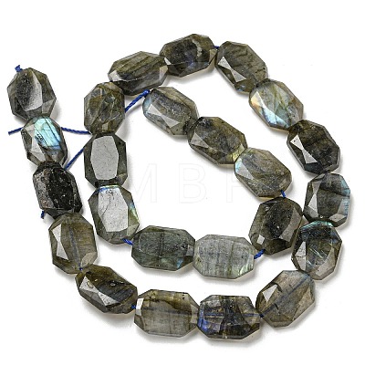 Natural Labradorite Beads Strands G-P544-B08-01-1