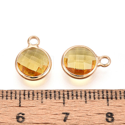 Golden Tone Brass Glass Charms GLAA-ZX008-24F-G-1