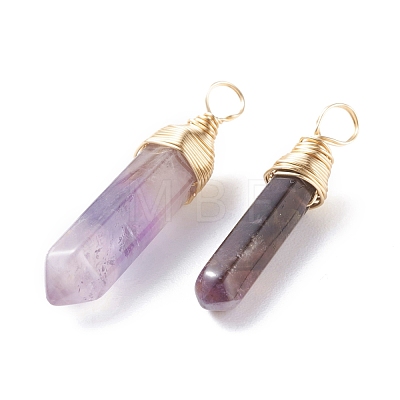 Natural Amethyst Double Terminated Pointed Pendants PALLOY-JF01211-01-1