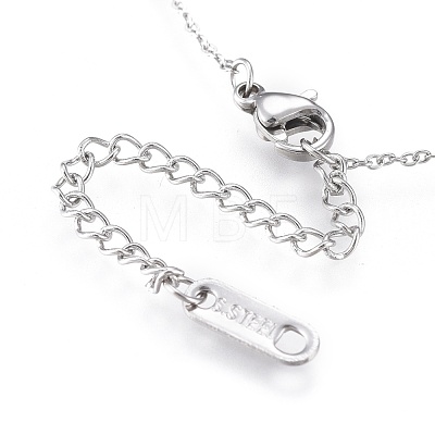 304 Stainless Steel Pendant Necklaces NJEW-K120-03-1