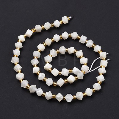 Natural White Moonstone Beads Strands G-P463-16-1