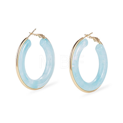 1 Pair 304 Stainless Steel Hoop Earrings EJEW-TA0001-89D-1