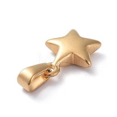 304 Stainless Steel Charms STAS-I127-067G-1