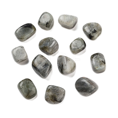 Natural Labradorite Beads G-O029-08R-1