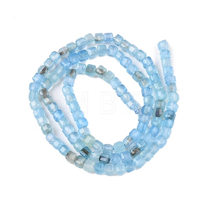 Dyed Natural Agate Beads Strands G-T138-211C-1