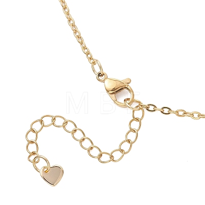2Pcs 2 Colors Brass Oval Locket Pendant Necklaces NJEW-JN05905-1