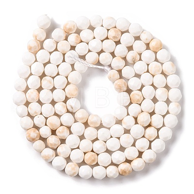 Natural Howlite Beads Strands G-C025-02B-09-1