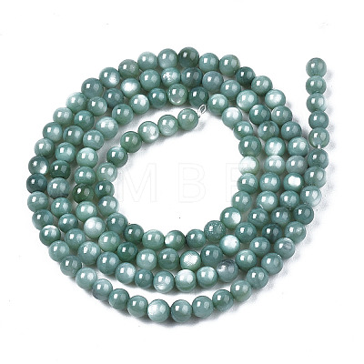 Natural Freshwater Shell Beads Strands X-BSHE-T009A-01J-1