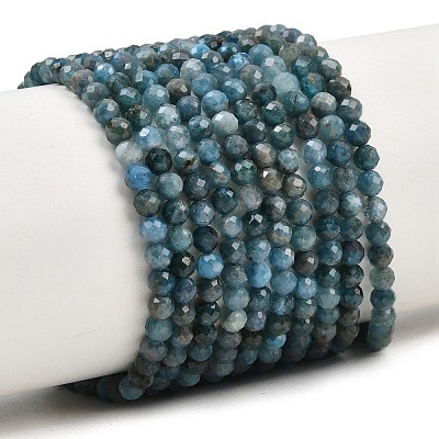 Natural Apatite Beads Strands G-P612-C-3mm-02-1