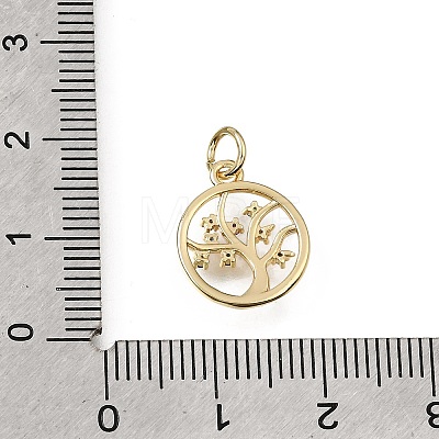 Brass Micro Pave Colorful Cubic Zirconia Charms CU-L001-12G-02-1