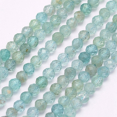 Natural Apatite Beads Strands LS-G-I156-05-A-1