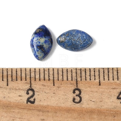 Natural Lapis Lazuli Cabochons G-Z075-05C-1