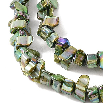 Natural Freshwater Shell Beads Strands BSHE-H018-07C-1