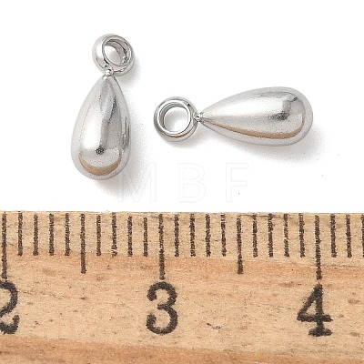 304 Stainless Steel Charms STAS-U037-18P-1