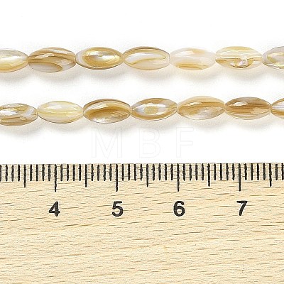 Natural Freshwater Shell Beads Strands X-BSHE-G036-03-1