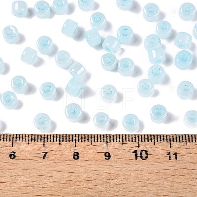 Glass Seed Beads SEED-T008-01F-1