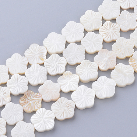Natural Freshwater Shell Bead Strands X-SHEL-T001-A01-1