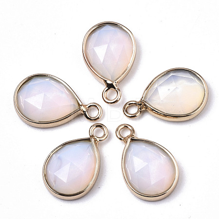 Opalite Charms G-N326-50I-1