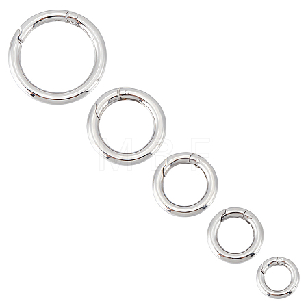 5Pcs 5 Styles 316 & 304 Stainless Steel Spring Gate Rings STAS-UN0049-92-1