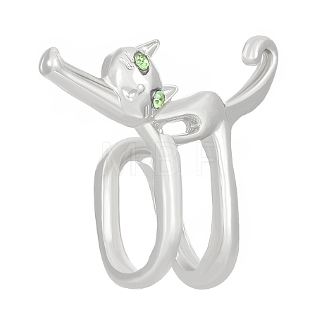Cat Shape Alloy Clip-on Earrings PW-WG391BD-02-1