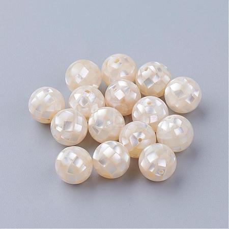 Natural White Shell Beads SSHEL-Q298-14mm-08-1