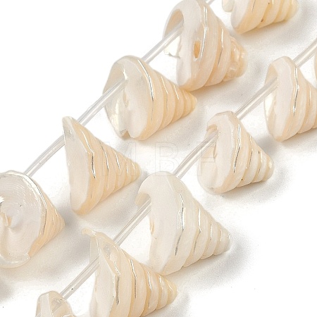 Natural Shell Beads Strands X-SHEL-K009-11-1