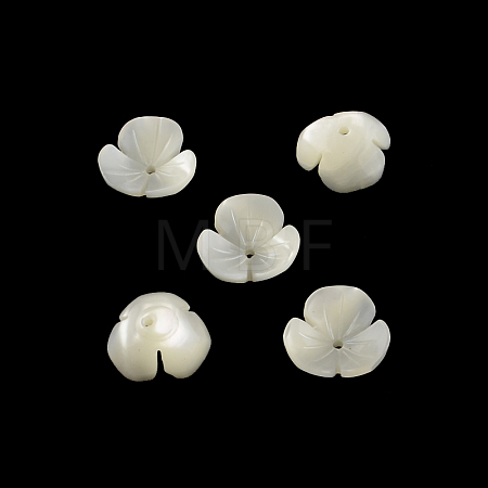 Flower Natural Trochid Shell/Trochus Shell Beads SSHEL-F290-05B-A-1