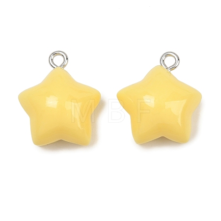 Opaque Resin Pendants RE-CBAF00C-11C-1