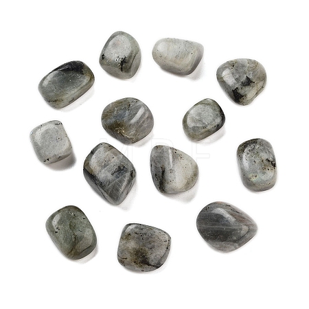 Natural Labradorite Beads G-O029-08R-1