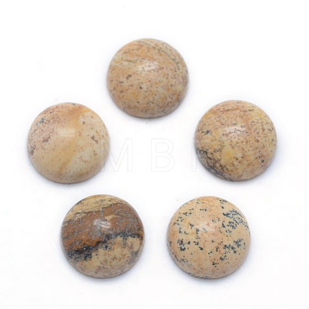 Natural Picture Jasper Cabochons G-P393-R51-6MM-1