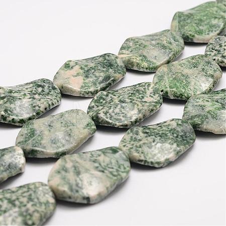 Natural Green Spot Jasper Bead Strands G-K153-K02-1