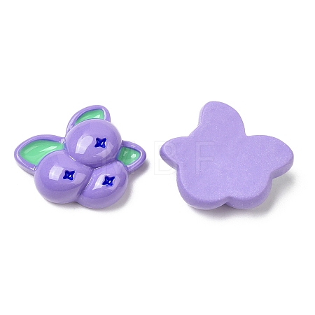 Opaque Resin Fruit Cabochons RESI-G072-02A-1
