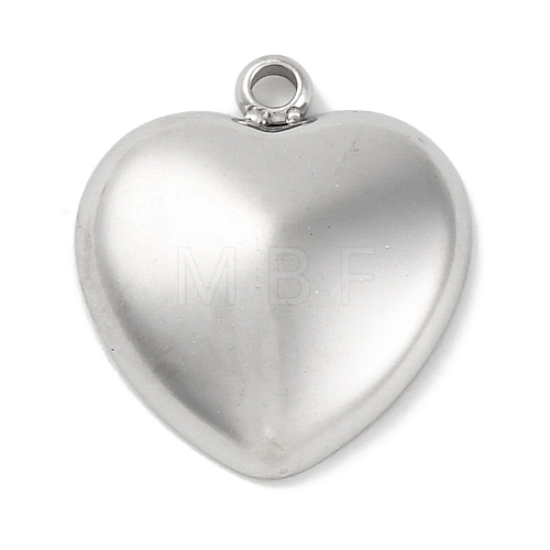 Anti-Tarnish 304 Stainless Steel Pendants STAS-D194-11S-1