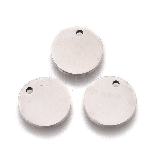 304 Stainless Steel Charms STAS-L247-006D-P-1