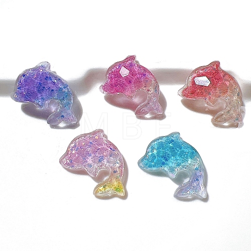 5Pcs Resin Cabochos PW-WG40A36-06-1