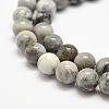 Natural Agate Beads Strands G-F475-07-8mm-3