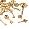 Tibetan Style Alloy Pendants FIND-D040-01AG-2