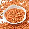 Baking Paint Glass Seed Beads SEED-B001-02A-07-2