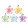 Transparent Resin Pendants RESI-K053-02-1
