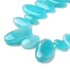 Natural Amazonite Beads Strands G-P478-04-4