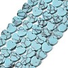 Synthetic Turquoise Beads Strands G-M403-A55-02-2
