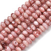 Natural Sea Shell Beads Strands SHEL-K006-75-1