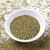 MIYUKI Delica Beads LS-X-SEED-J020-DB2046-2