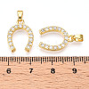 Brass Micro Pave Cubic Zirconia Pendants KK-N254-240G-3