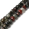 Natural African Bloodstone Beads Strands G-H078-C26-01-1