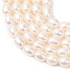 Natural Cultured Freshwater Pearl Beads Strands PEAR-F020-01B-4