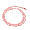 Natural Freshwater Shell Beads Strands SHEL-P017-01B-09-2