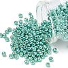 TOHO 6/0 Round Beads SEED-TR06-PF0561-1